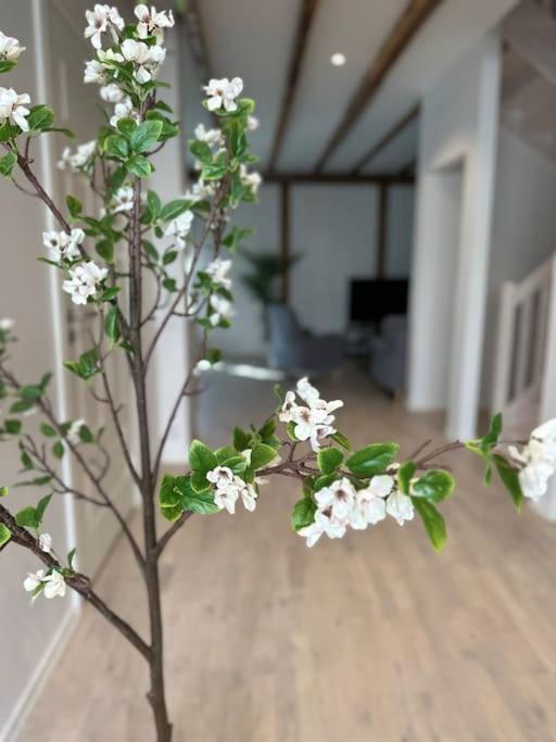 Innerstan Nya Laegenheter Soedramurgatan 45B Visby Exteriör bild